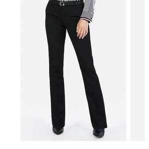 Express Columnist Dress Pants